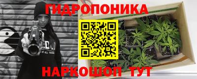 хмурый Пенза
