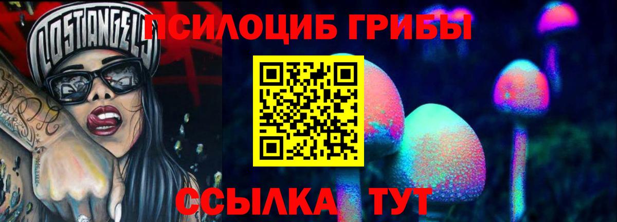Саратов  где купить наркоту  Псилоцибиновые грибы MAGIC MUSHROOMS  Вход с VPN  Псилоцибиновые грибы мицелий 